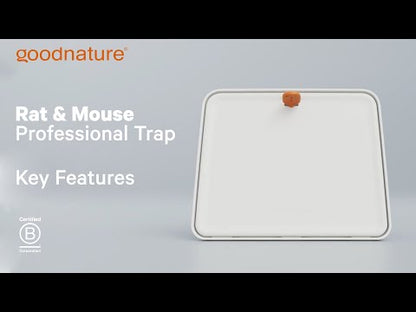 Ratten- und Mausefalle A24 giftfrei, PROFISET von Goodnature