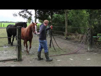 Multi-Leiter-Tor | 4-reihig | 6 m