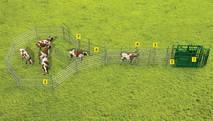 Standard Behandlungsanlage für mittlere bis große Tierbestände - Komplettset