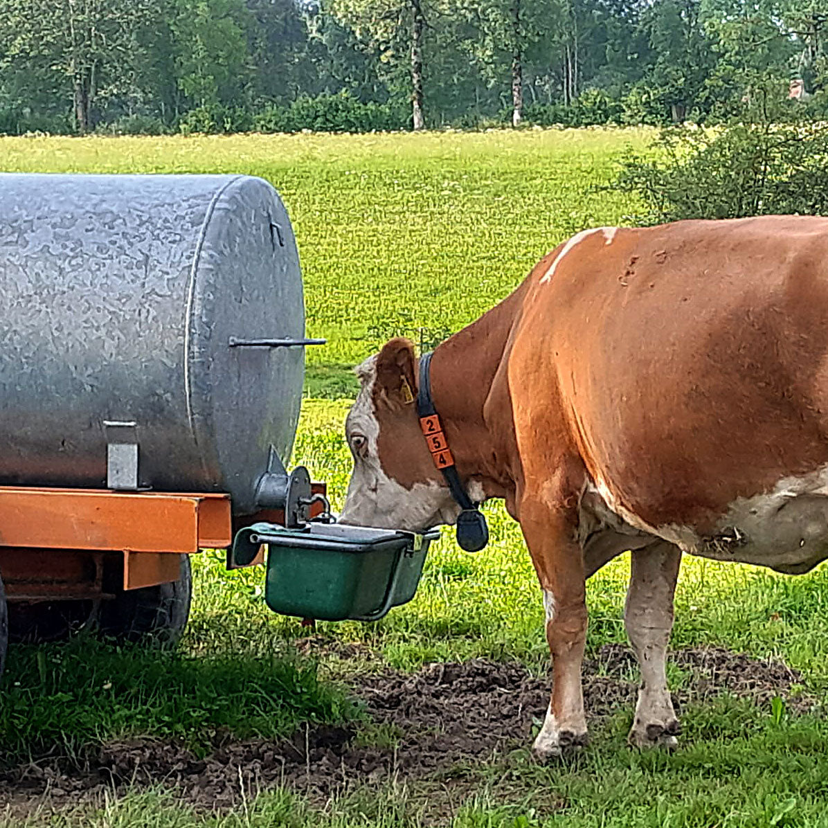 Weidefassanbautränke TW 30 N