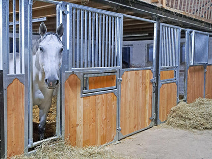 Frontwand Walina mit einem Fressplatz